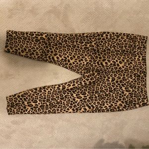 Leopard capri pant